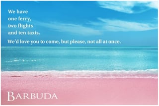 Barbuda-Bountiful-Cow-campaign-resized